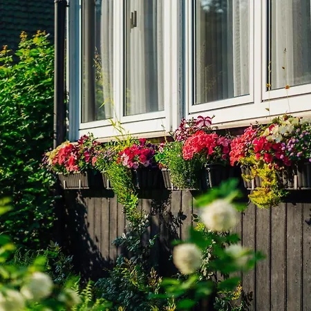 Guest house Bei Angela 3*